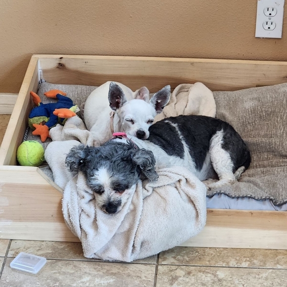 Welcome to my Closet! 💐 - Picture 10 of 14